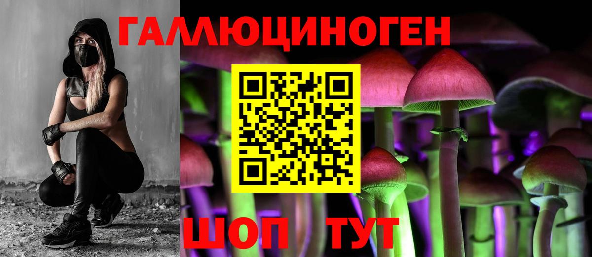 Галлюциногенные грибы Psilocybe  Вход с VPN  Шали 